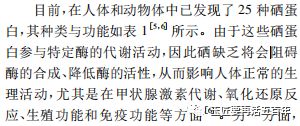 富硒大米的优缺点(大米富硒点优缺点是什么)-硒宝网