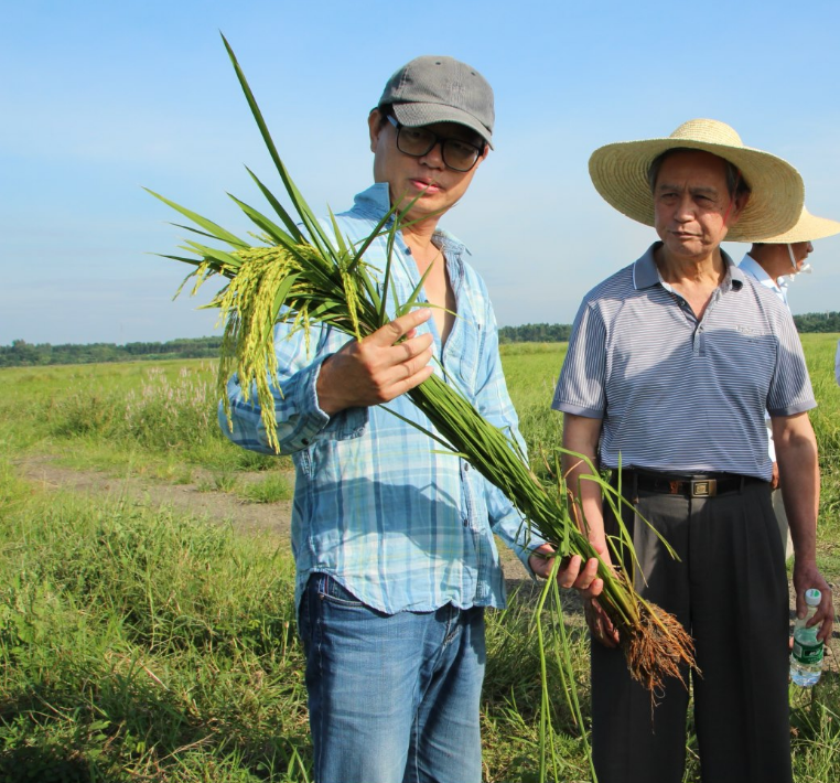 济南富硒大米价格（富硒大米哪里有卖）-硒宝网