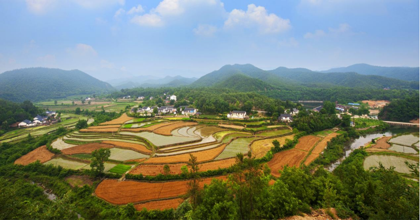 如皋有富硒大米吗（富硒优质大米）-硒宝网