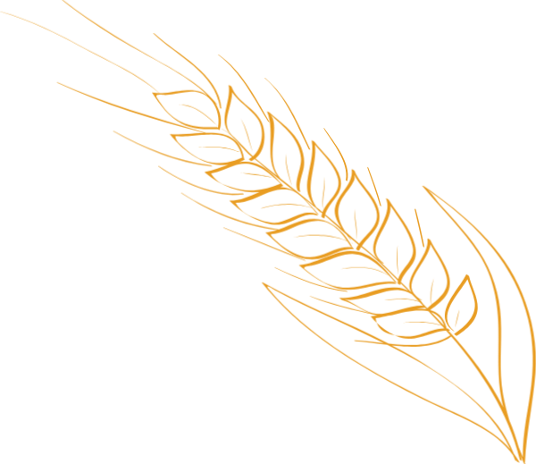 富硒大米市场机遇(富硒大米产量)-硒宝网