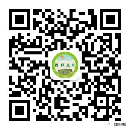 陕西富硒大米赵磊（陕南富硒大米）-硒宝网