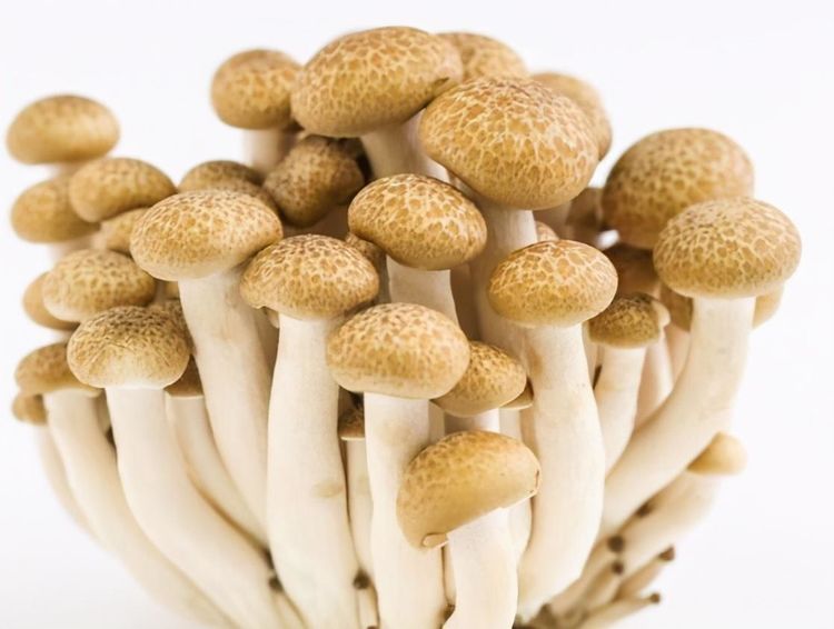 富硒大米可以防癌(大米防癌富硒可以吃吗)-硒宝网