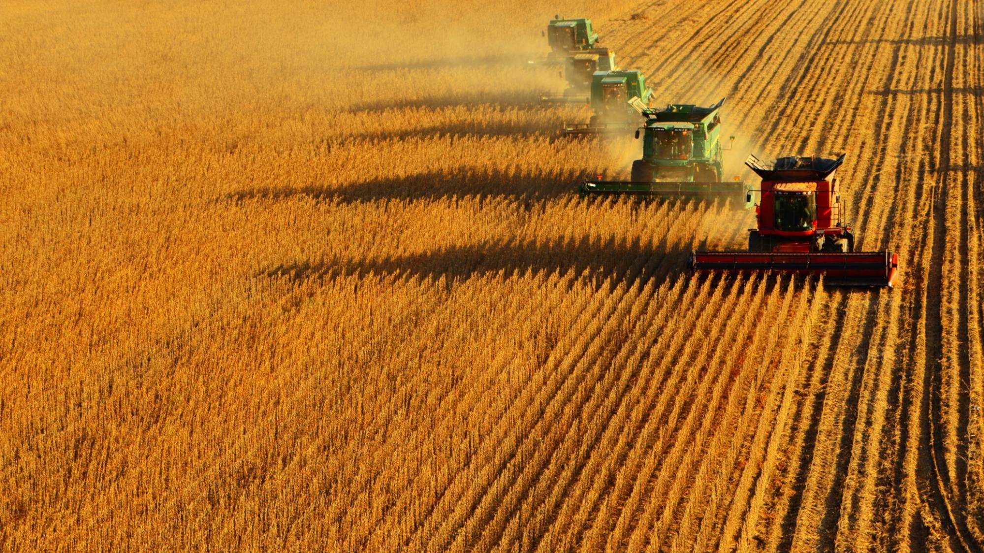 东北长亮富硒大米(东北富硒大米的产地)-硒宝网