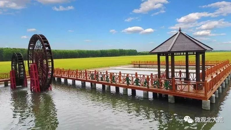 富硒大米奖励制度（大米激励）-硒宝网