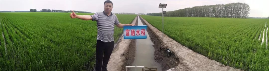 富硒大米奖励制度（大米激励）-硒宝网