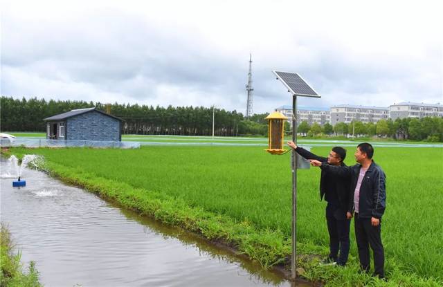 富硒大米奖励制度（大米激励）-硒宝网