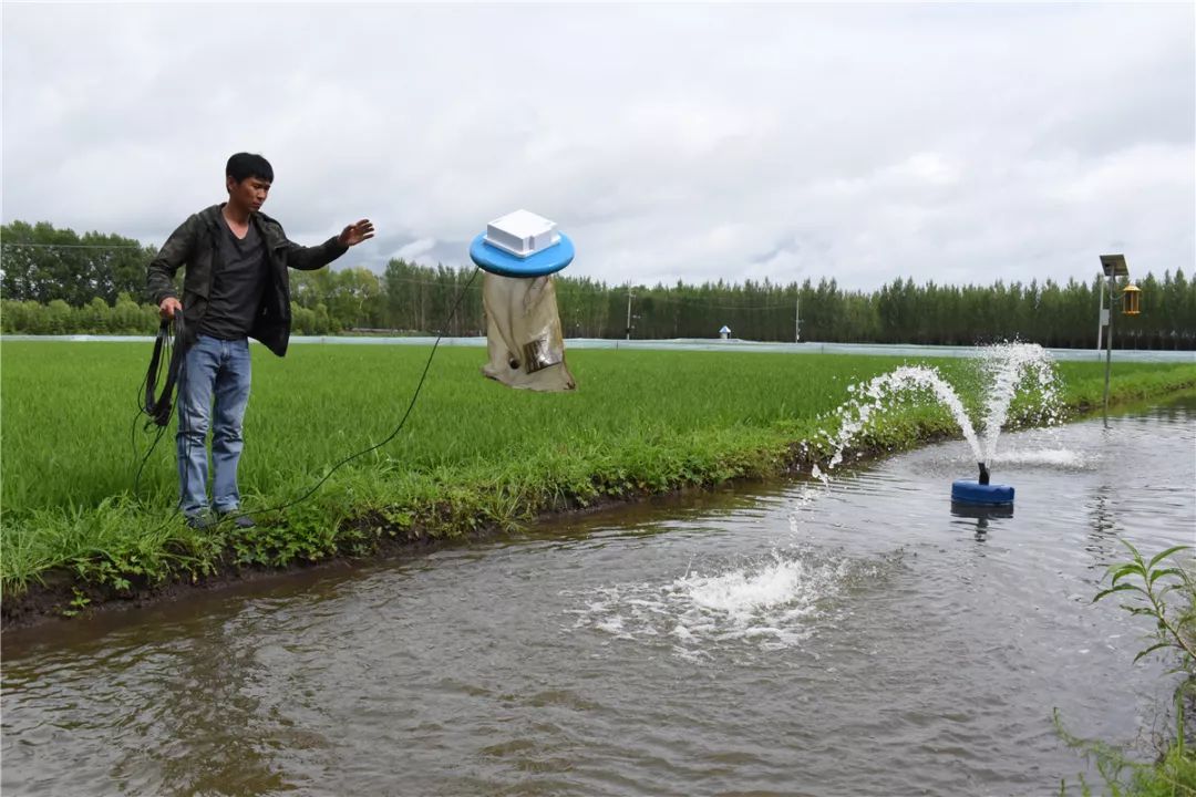 富硒大米奖励制度（大米激励）-硒宝网