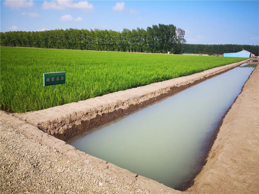 富硒大米奖励制度（大米激励）-硒宝网