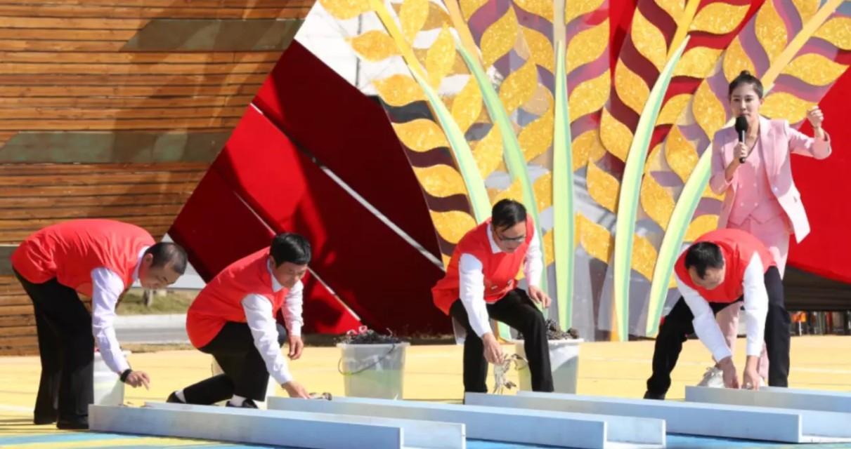 泗洪大米 富硒米(富硒大米中富含的营养物质)-硒宝网