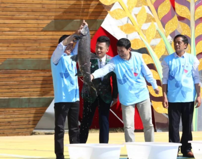 泗洪大米 富硒米(富硒大米中富含的营养物质)-硒宝网