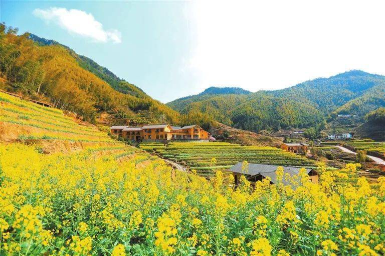 崇义上堡富硒大米（延吉富硒大米）-硒宝网