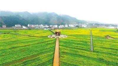 崇义上堡富硒大米（延吉富硒大米）-硒宝网