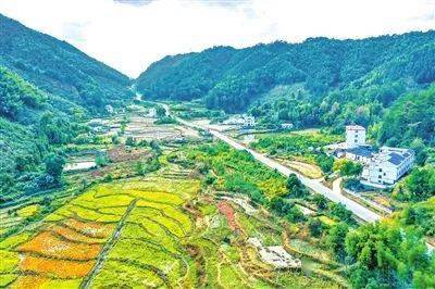 崇义上堡富硒大米（延吉富硒大米）-硒宝网