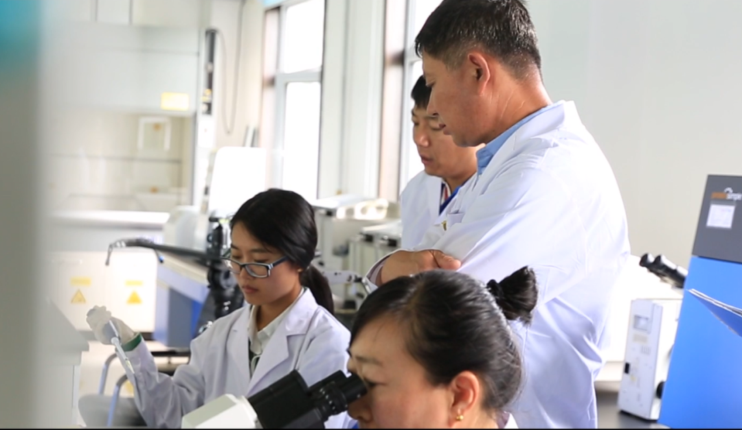 新疆产的富硒大米(富硒大米好在哪)-硒宝网