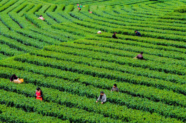 陕西安康富硒大米(安康富硒农产品)-硒宝网