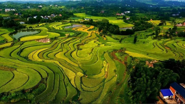 陕西安康富硒大米(安康富硒农产品)-硒宝网