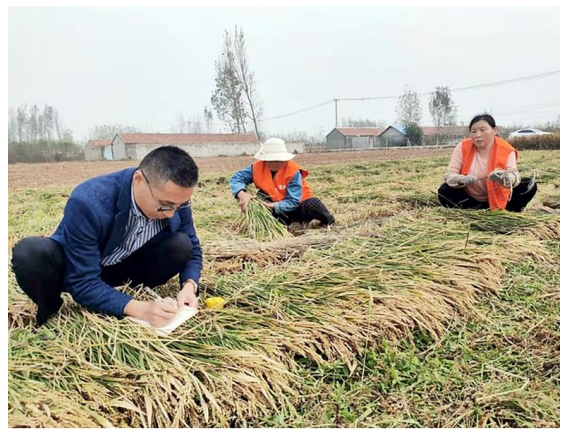 临沂富硒大米价格（临沂大米厂家）-硒宝网