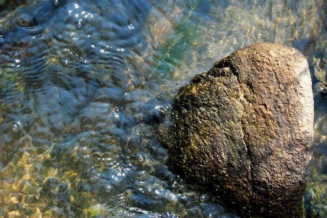 富硒大米能煮粥吗(富硒大米煮饭好吃还是煮粥好吃)-硒宝网