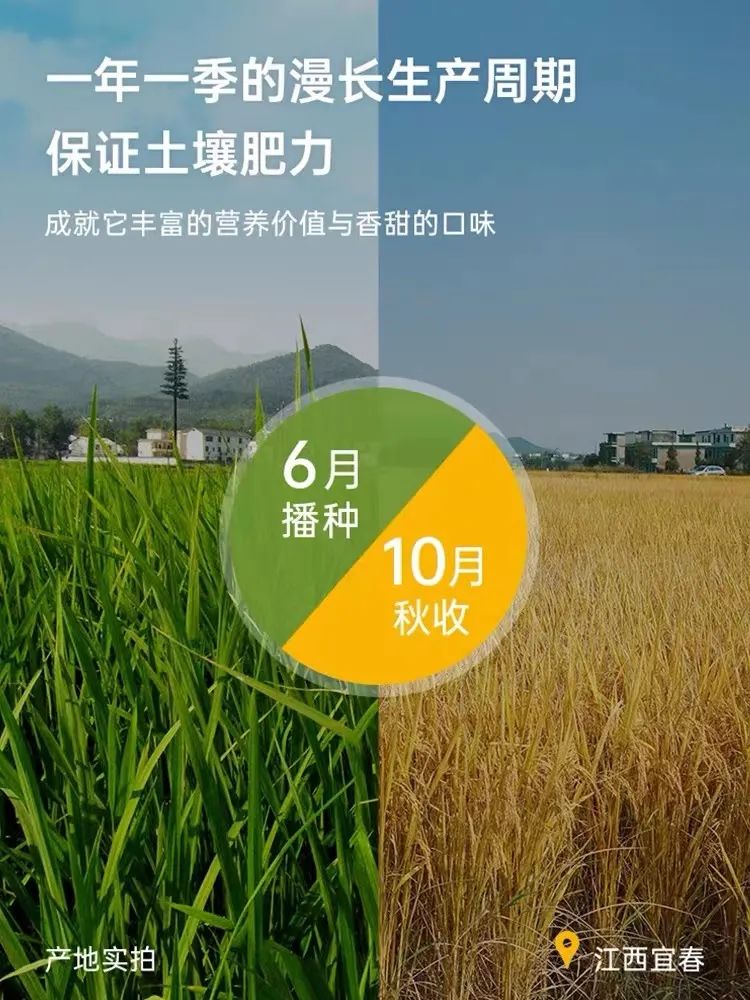 人吃富硒大米好吗（吃富硒大米的好处）-硒宝网