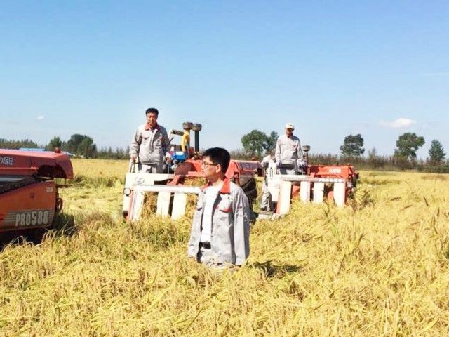 富硒大米能煮粥吗(大米粥煮能富硒嘛)-硒宝网