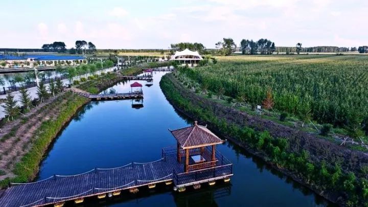 富硒大米能煮粥吗(大米粥煮能富硒嘛)-硒宝网