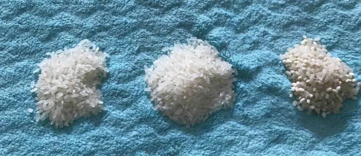 富硒大米能煮粥吗(大米粥煮能富硒嘛)-硒宝网