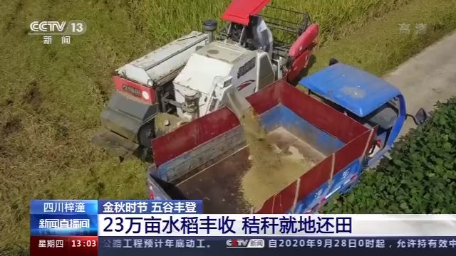 于都富硒大米价格(丰城富硒大米价格)-硒宝网