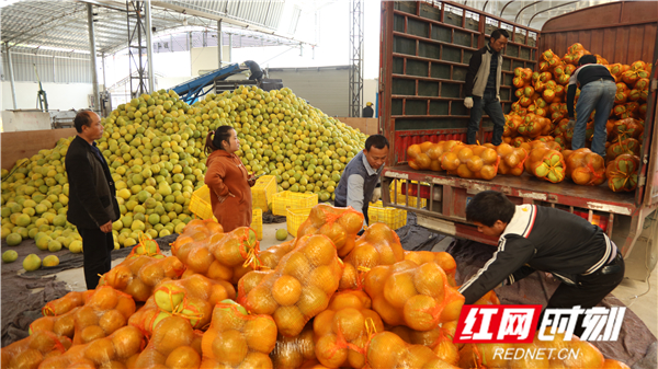 湖南永州富硒大米（富硒优质大米）-硒宝网