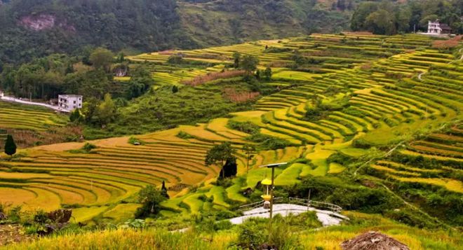 富硒大米都谁吃过（大米吃富硒过期能吃吗）-硒宝网