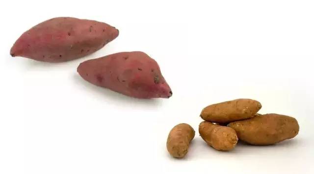 富硒大米蒸熟后粘（大米粘蒸熟富硒后能吃吗）-硒宝网