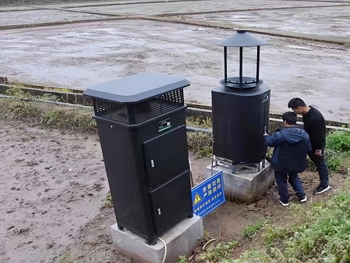 富硒大米会长胖吗（大米长胖）-硒宝网