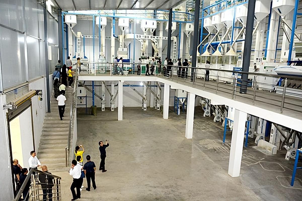 富硒大米会长胖吗（大米长胖）-硒宝网