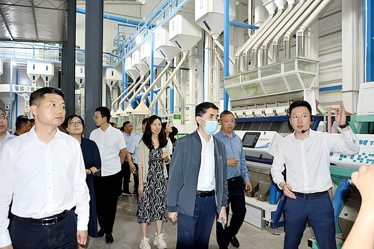 富硒大米会长胖吗（大米长胖）-硒宝网