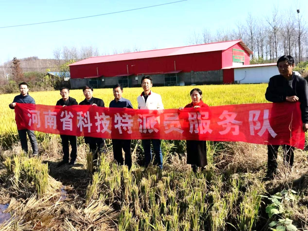 皇家鸭田富硒大米（鸭田大米的营养）-硒宝网