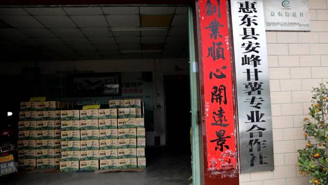 富硒大米专业技术（富硒大米的种植）-硒宝网