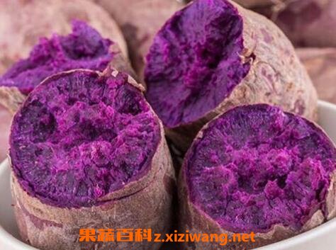 如何种植富硒大米（大米种植富硒的好处）-硒宝网