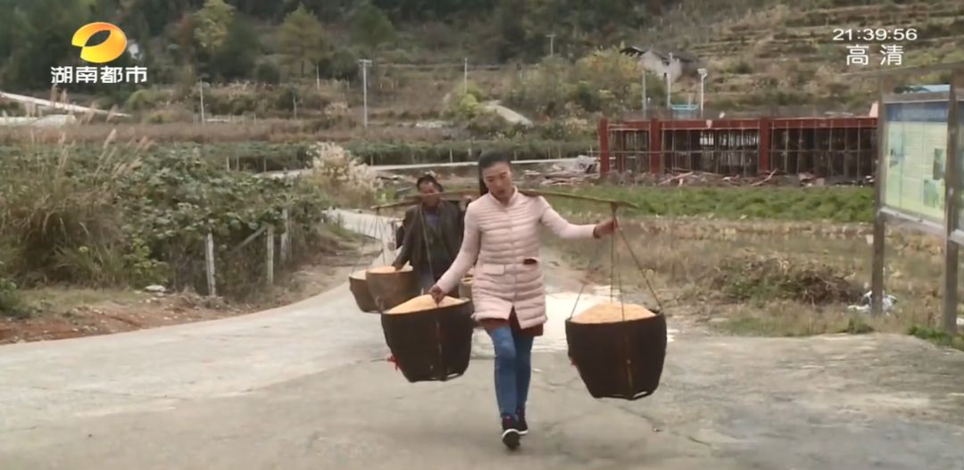 富硒村种植大米吗(富硒大米基地)-硒宝网
