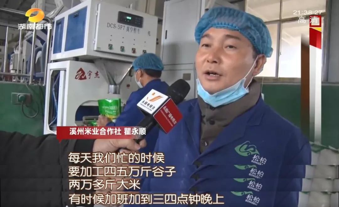 富硒村种植大米吗(富硒大米基地)-硒宝网