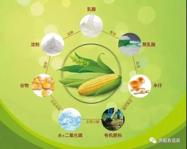 富硒大米转基因吗(大米富硒标准)-硒宝网