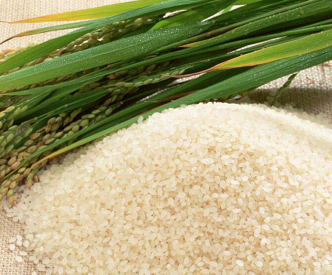 富硒大米转基因吗(大米富硒标准)-硒宝网