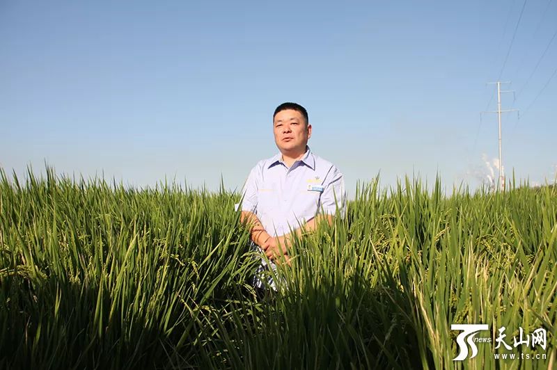 新疆产富硒大米吗（中国三大天然富硒大米产地）-硒宝网