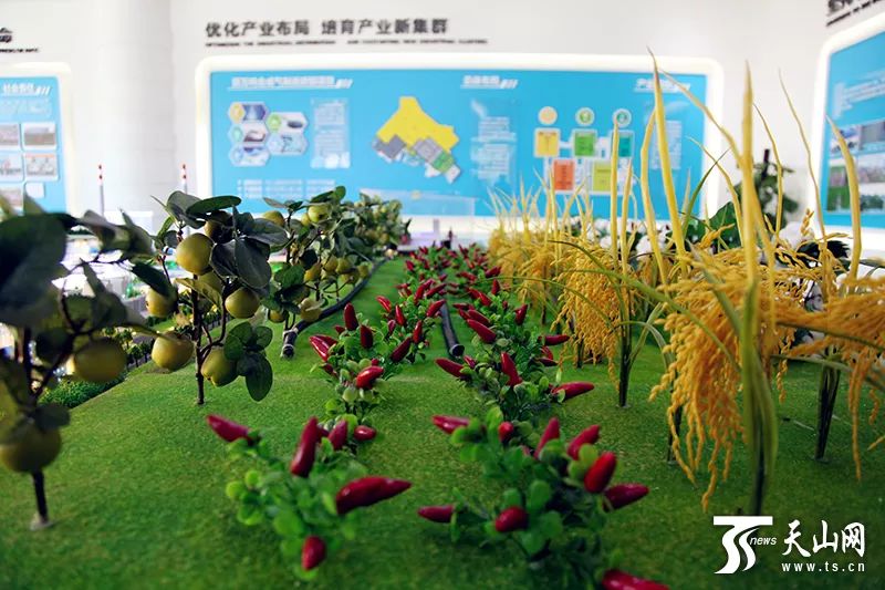 新疆产富硒大米吗（中国三大天然富硒大米产地）-硒宝网