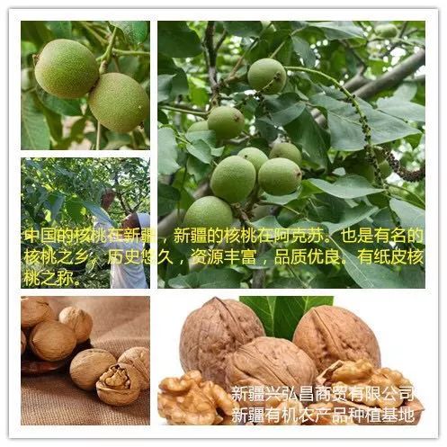 新疆产富硒大米吗(富硒大米好在哪)-硒宝网