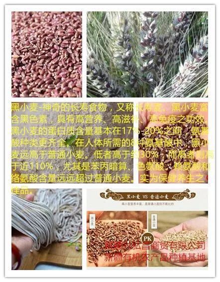 新疆产富硒大米吗(富硒大米好在哪)-硒宝网