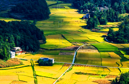 湖南通道富硒大米(富硒大米市场前景)-硒宝网