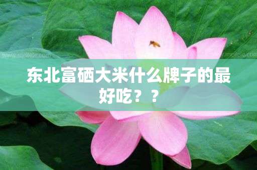 富硒大米品牌名称（大米名称富硒品牌有哪些）-硒宝网