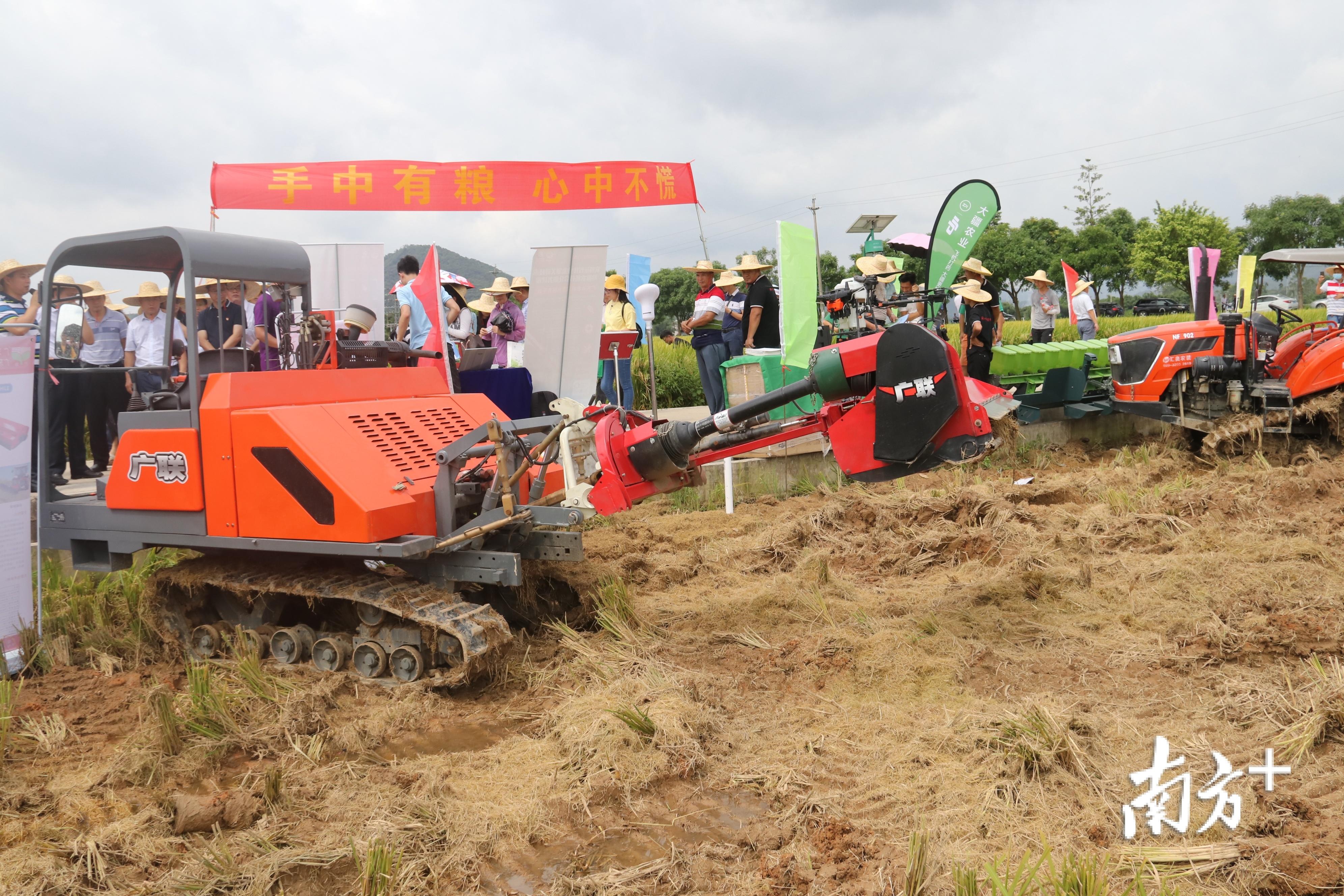 富硒大米是什么味（富硒大米闻起来是什么味道）-硒宝网
