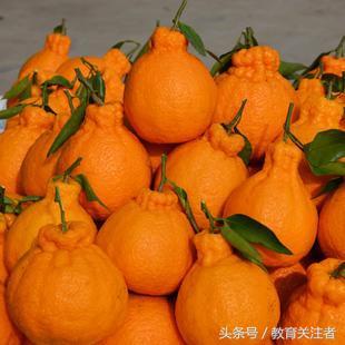 郑州富硒大米厂家(富硒大米十大安全品牌)-硒宝网