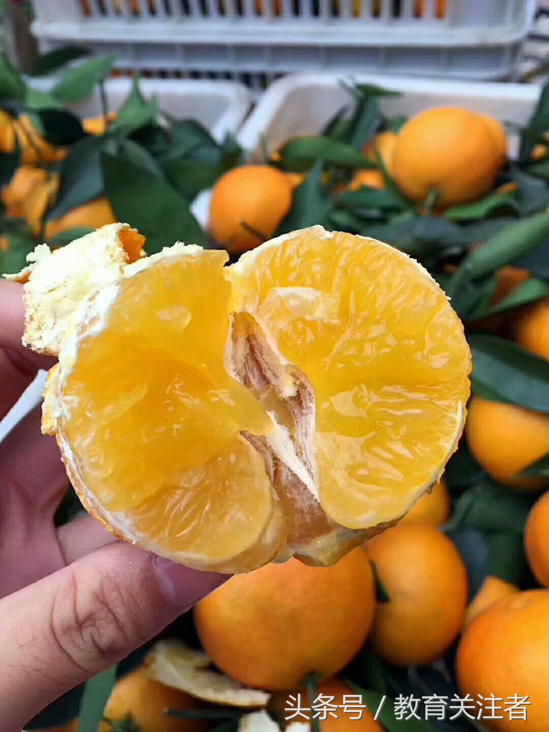 郑州富硒大米厂家(富硒大米十大安全品牌)-硒宝网