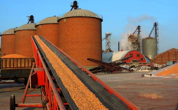 海伦大米含富硒吗（海伦富硒大米央视报道）-硒宝网